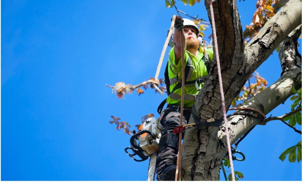 Seilklettertechnik Essen