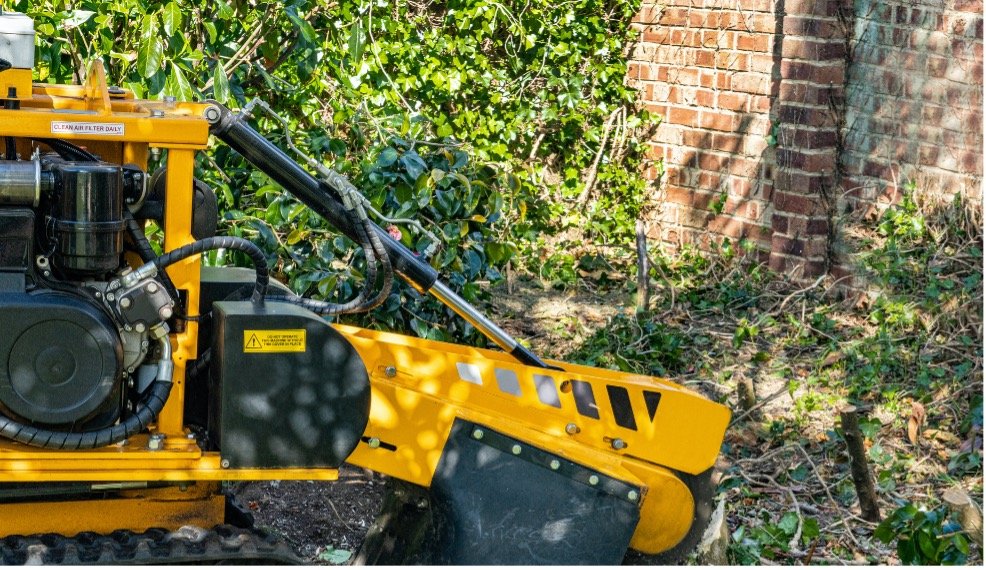 Wurzel fräsen Augsburg